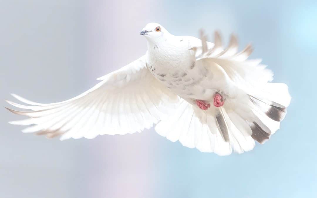 Pinsefortellingen bekrefter det sentrale i kvekerteologien