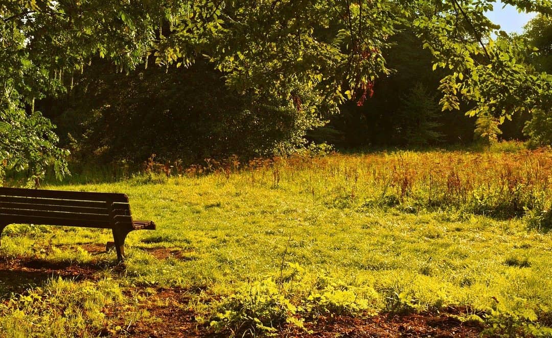 En hyllest til alle dere som kjemper