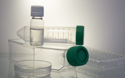 Norsk teologisk samtaleforum lanserer ny rapport om bioteknologi