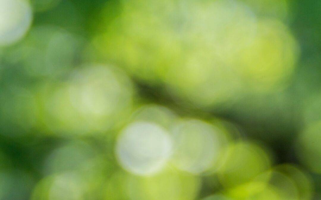 Hva er GrønnØkuBlogg?