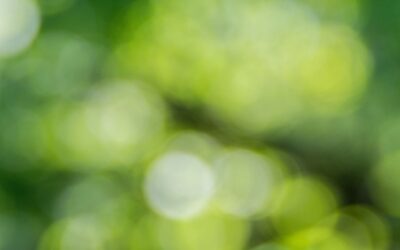 Hva er GrønnØkuBlogg?