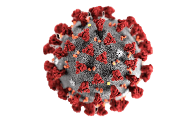 Oppdaterte smitteveiledere: – Glad for antallsøkning