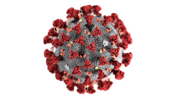 Oppdaterte smitteveiledere: – Glad for antallsøkning