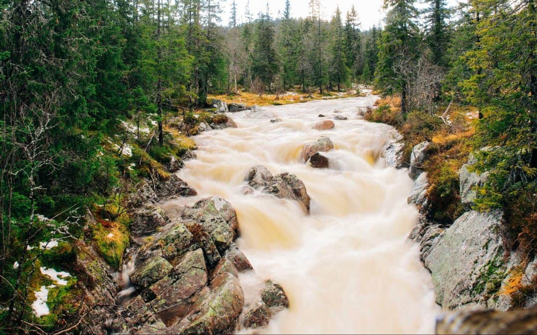 Å følge strømmen er også en handling
