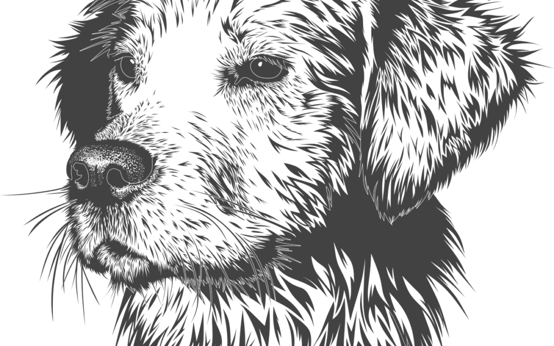 Kjære Gud, velsign Fido …