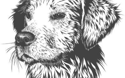 Kjære Gud, velsign Fido …