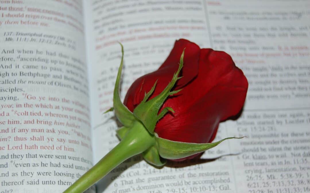 Vi skal aldri glemme