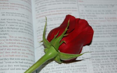 Vi skal aldri glemme