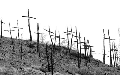 Valg, kall og handlingsrom – jubileumsrefleksjoner