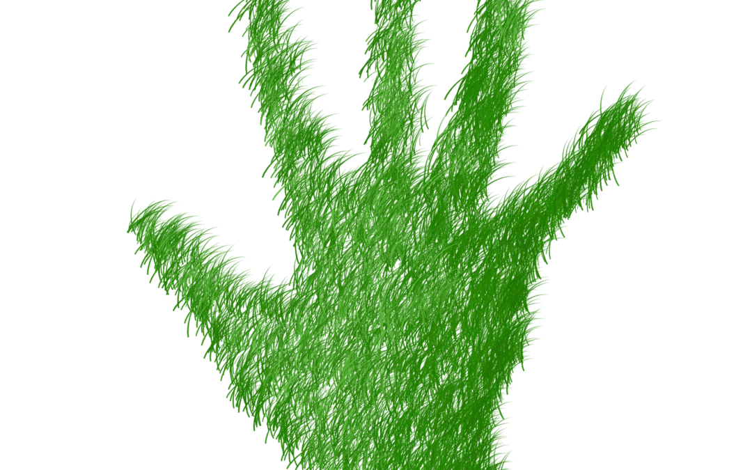 Et guddommelig fingeravtrykk og nye grønne kirker