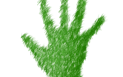 Et guddommelig fingeravtrykk og nye grønne kirker