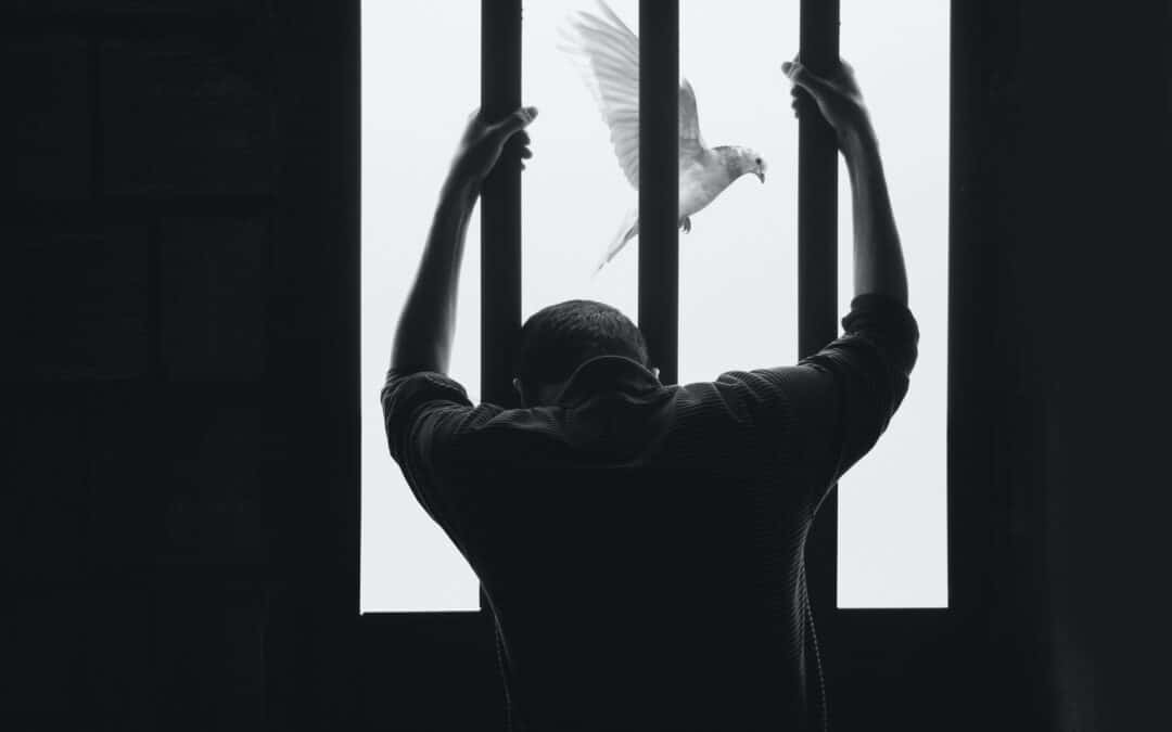 Appell: Fakkeltog for forfulgte 28.10.2021 på Eidsvolls plass