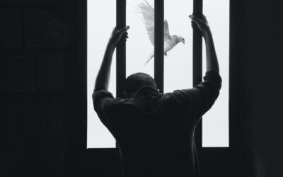 Appell: Fakkeltog for forfulgte 28.10.2021 på Eidsvolls plass