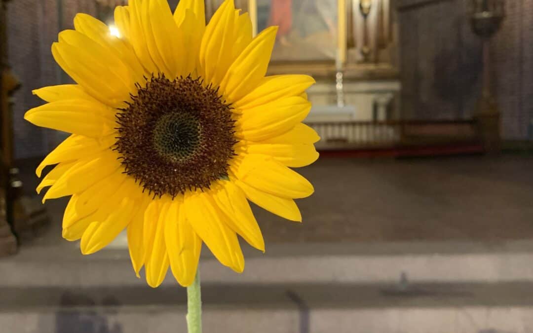 Kirke-Norge sammen om nødhjelp til Ukraina