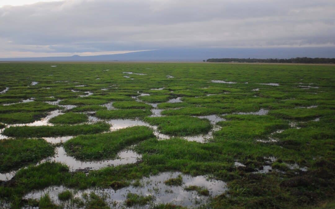 Hva vil de si i din begravelse?