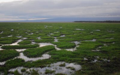 Hva vil de si i din begravelse?
