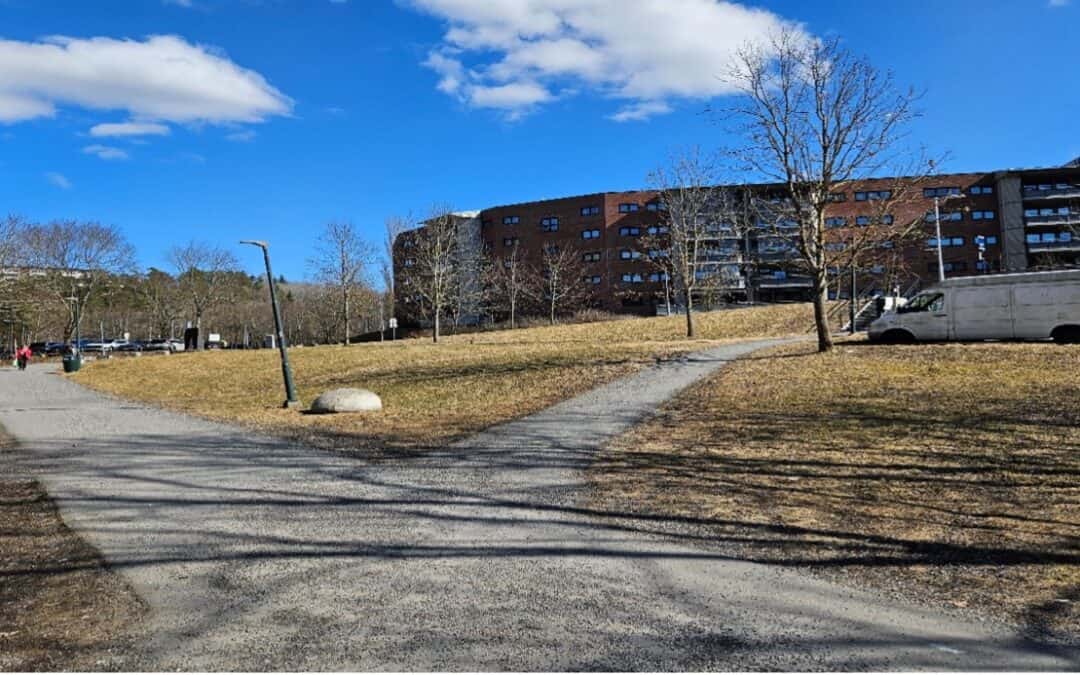 Lunsjseminar om lokalsamfunnet Søndre Nordstrand