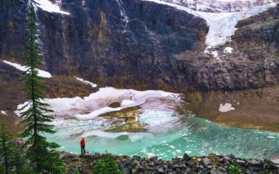 Når naturen tar over?