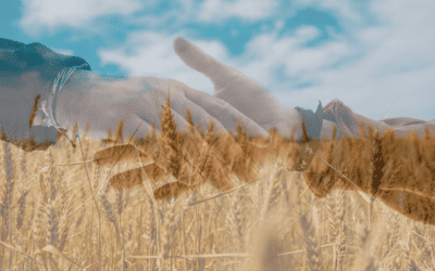 Kirkene i Ukraina når inn hvor andre ikke går