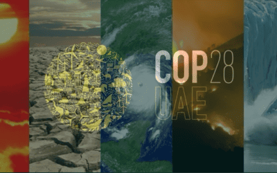 FNs klimaforhandlinger (COP28) – hva står på spill?