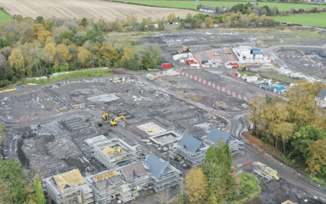 Synd og grønn omvendelse