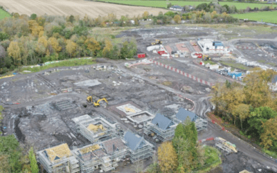 Synd og grønn omvendelse